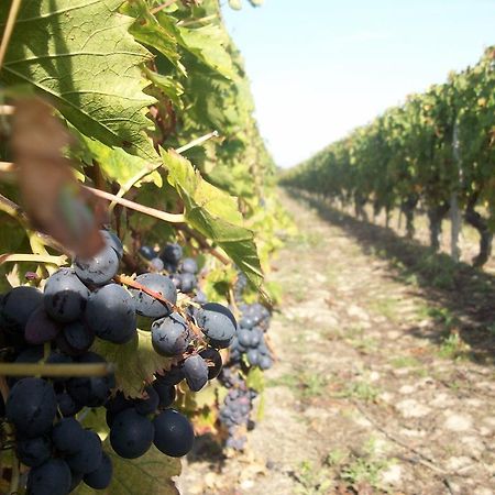 Loire, Chateaux, Et Vignes Onzain Bagian luar foto