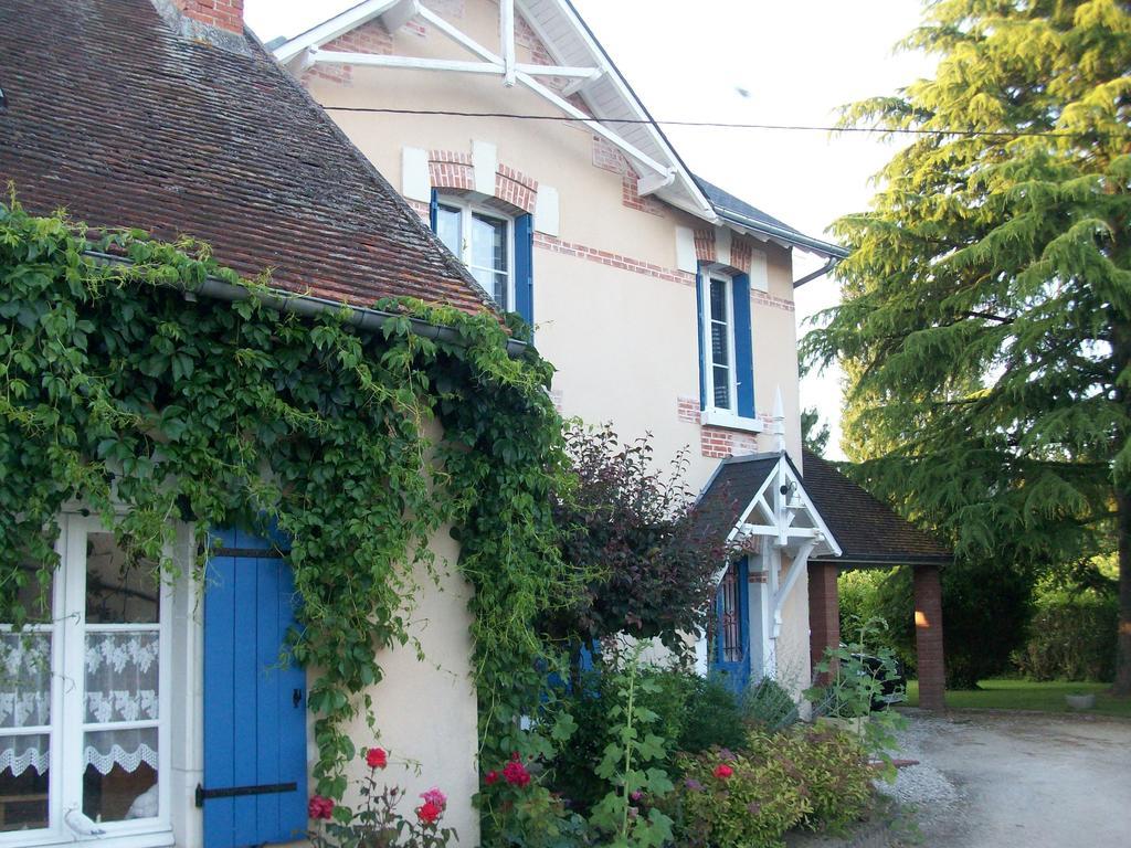 Loire, Chateaux, Et Vignes Onzain Bagian luar foto